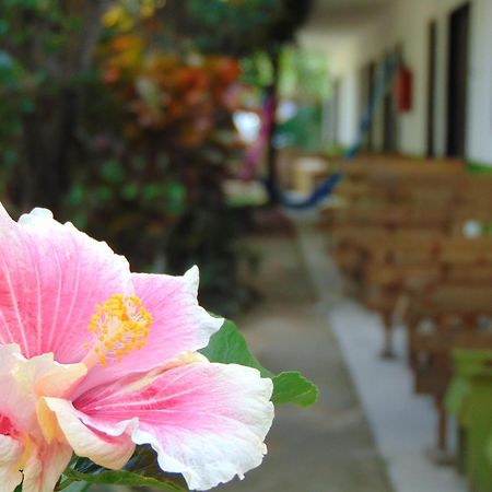 Crucero Tulum Bed & Breakfast Exterior photo