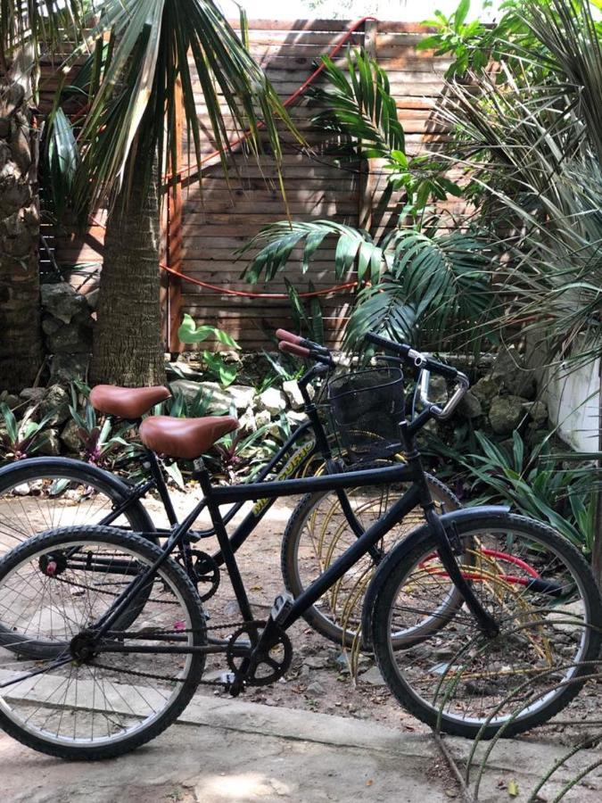 Crucero Tulum Bed & Breakfast Exterior photo